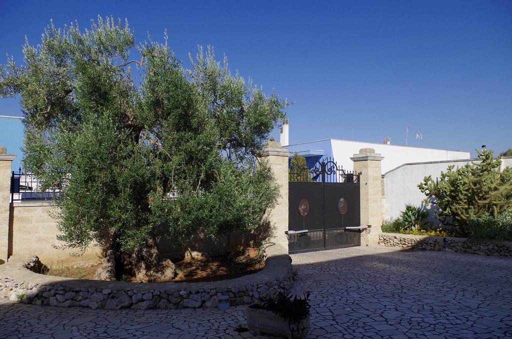 توري لابيلو Villa Arneide Bed And Breakfast المظهر الخارجي الصورة
